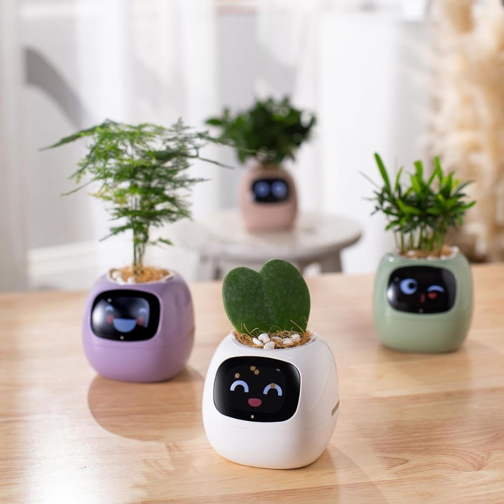 BloomBot™ | Slimme plantenpot