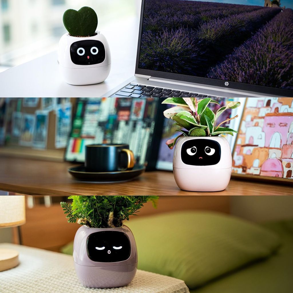 BloomBot™ | Slimme plantenpot