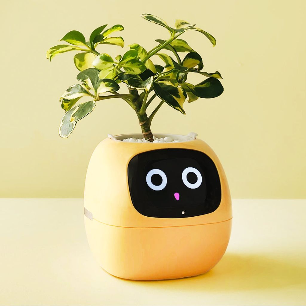 BloomBot™ | Slimme plantenpot