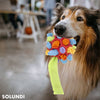 SnuffBall™ - Puzzelspeeltje voor honden om te snuffelen