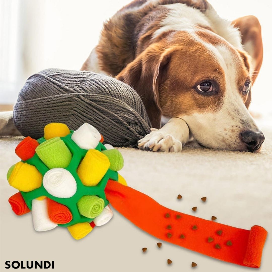SnuffBall™ - Puzzelspeeltje voor honden om te snuffelen